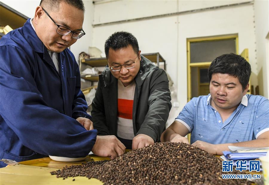 （壮丽70年·奋斗新时代·图文互动）（7）记者蹲点手记：感受“戈壁明珠”崭新容颜