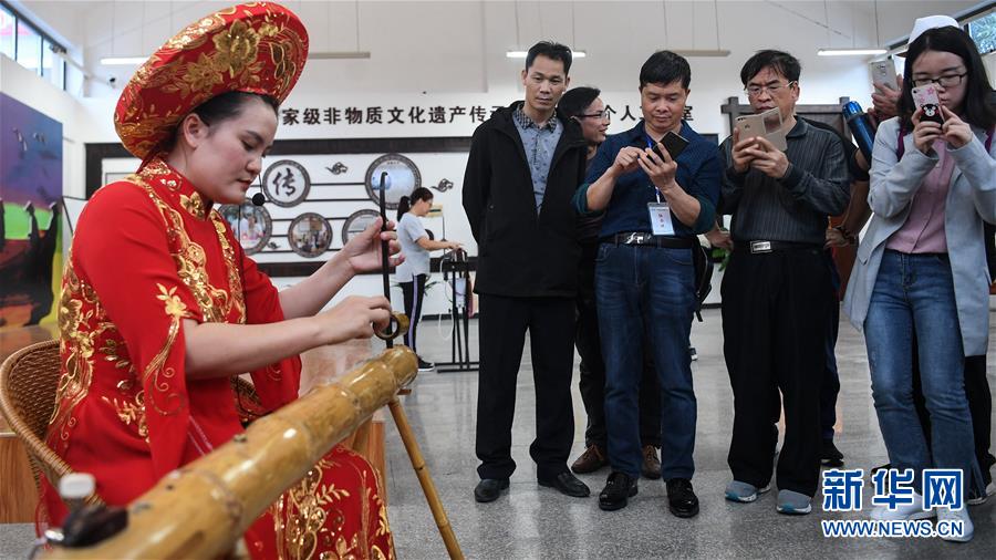 （壮丽70年 奋斗新时代——推动高质量发展调研行·图文互动）（6）近海能看鲸鱼白海豚，广西这片滨海旅游胜地啥来头？