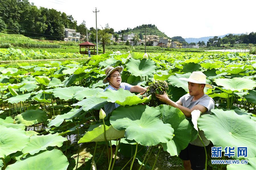 （新华全媒头条·图文互动）（4）咱们村里的年轻人——记奋战在贵州脱贫攻坚一线的青年