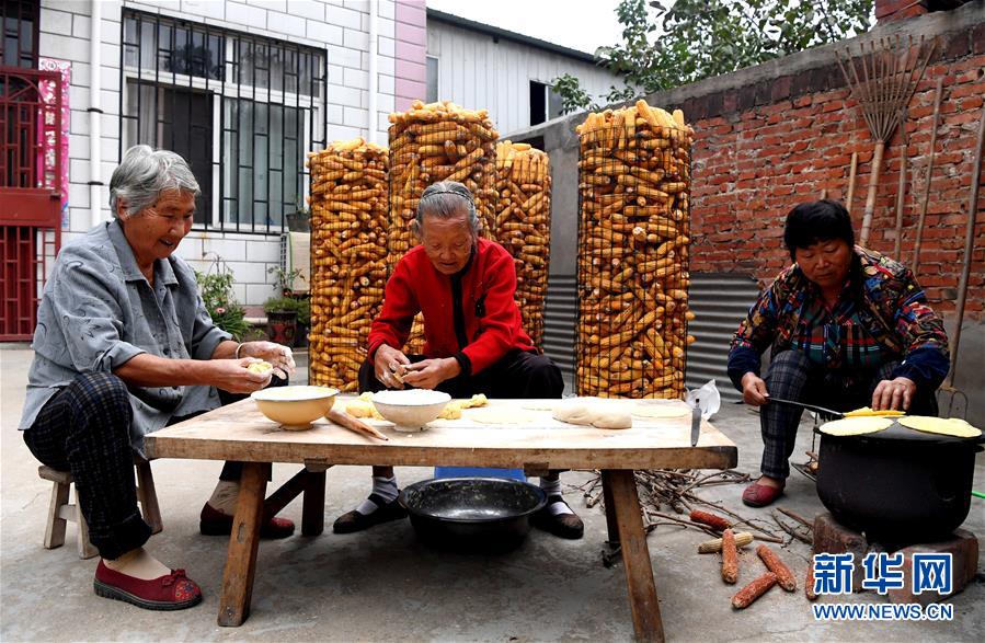 （新华全媒头条·图文互动）（18）大国粮仓的新时代交响——河南农业70年观察