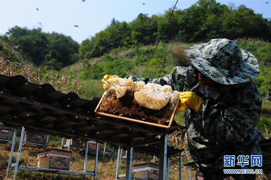 （新华全媒头条·图文互动）（4）永不归来的“战士”——追记倒在脱贫攻坚一线的贵州沿河县驻村第一书记文伟红