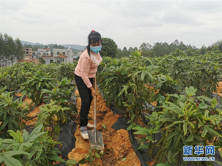 （图文互动）（4）与疫情抗争 与春光同行——广西农村春耕备耕一线观察