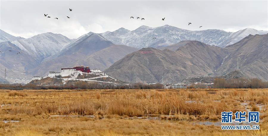 （美丽中国）（1）初春拉鲁湿地