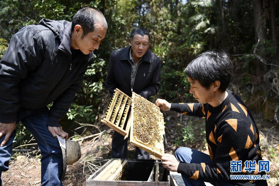 （决战决胜脱贫攻坚·图文互动）（5）一位农民的产业扶贫成绩单 