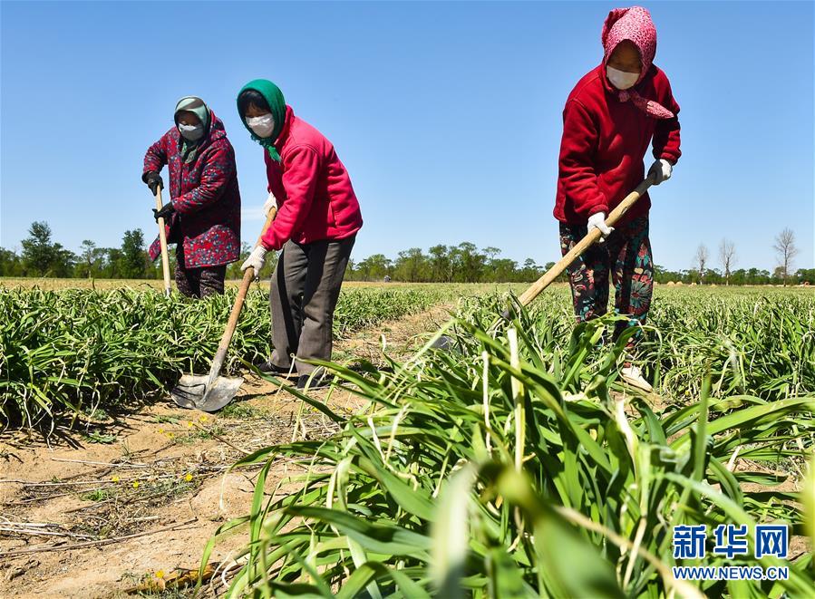 （新华全媒头条·图文互动）（17）从人民中汲取磅礴力量——习近平总书记同出席2020年全国两会人大代表、政协委员共商国是纪实