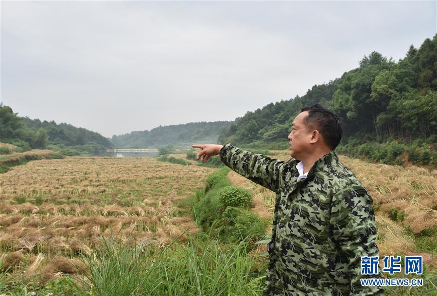 （代表委员履职·图文互动）（2）“我是农民代表，始终关注农村”——全国人大代表沈昌健的履职故事