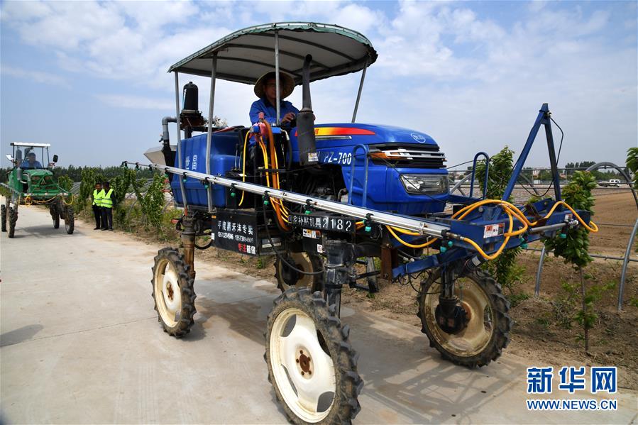 （在习近平新时代中国特色社会主义思想指引下——新时代新作为新篇章·习近平总书记关切事·图文互动）（8）新农事、新希望——夏收前田间新动态扫描