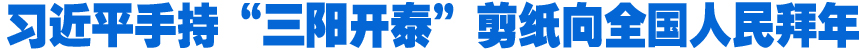 习近平手持“三阳开泰”剪纸向全国人民拜年