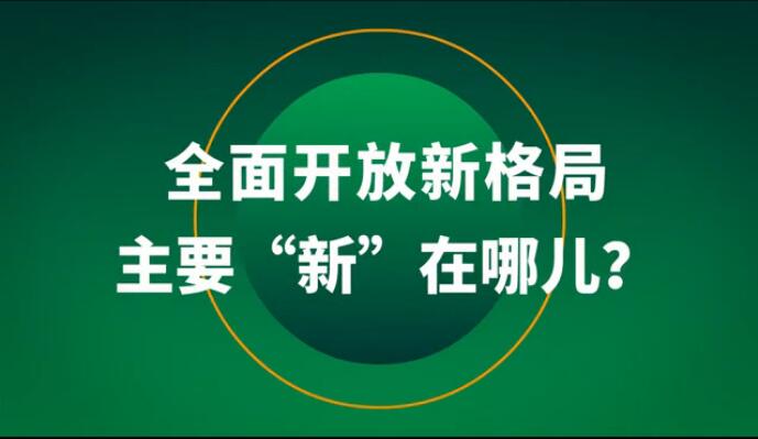 全面开放新格局主要“新”在哪儿？