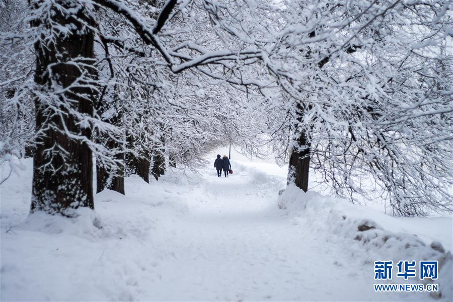 （国际）（1）雪中庄园